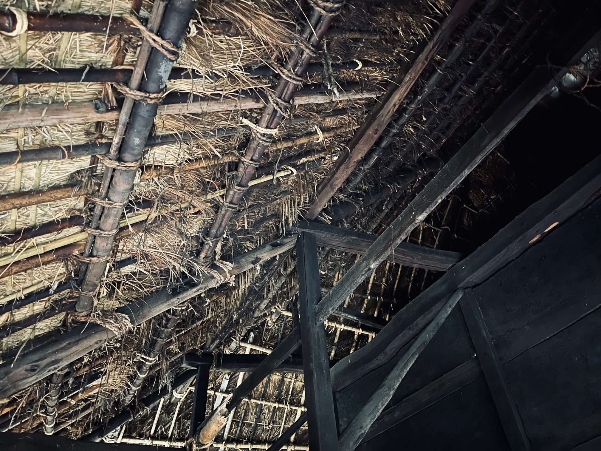 稲敷の茅葺き屋根