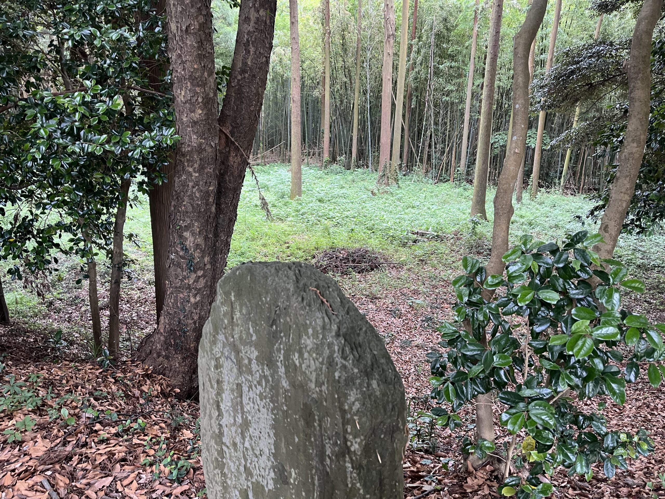 神宮寺城跡